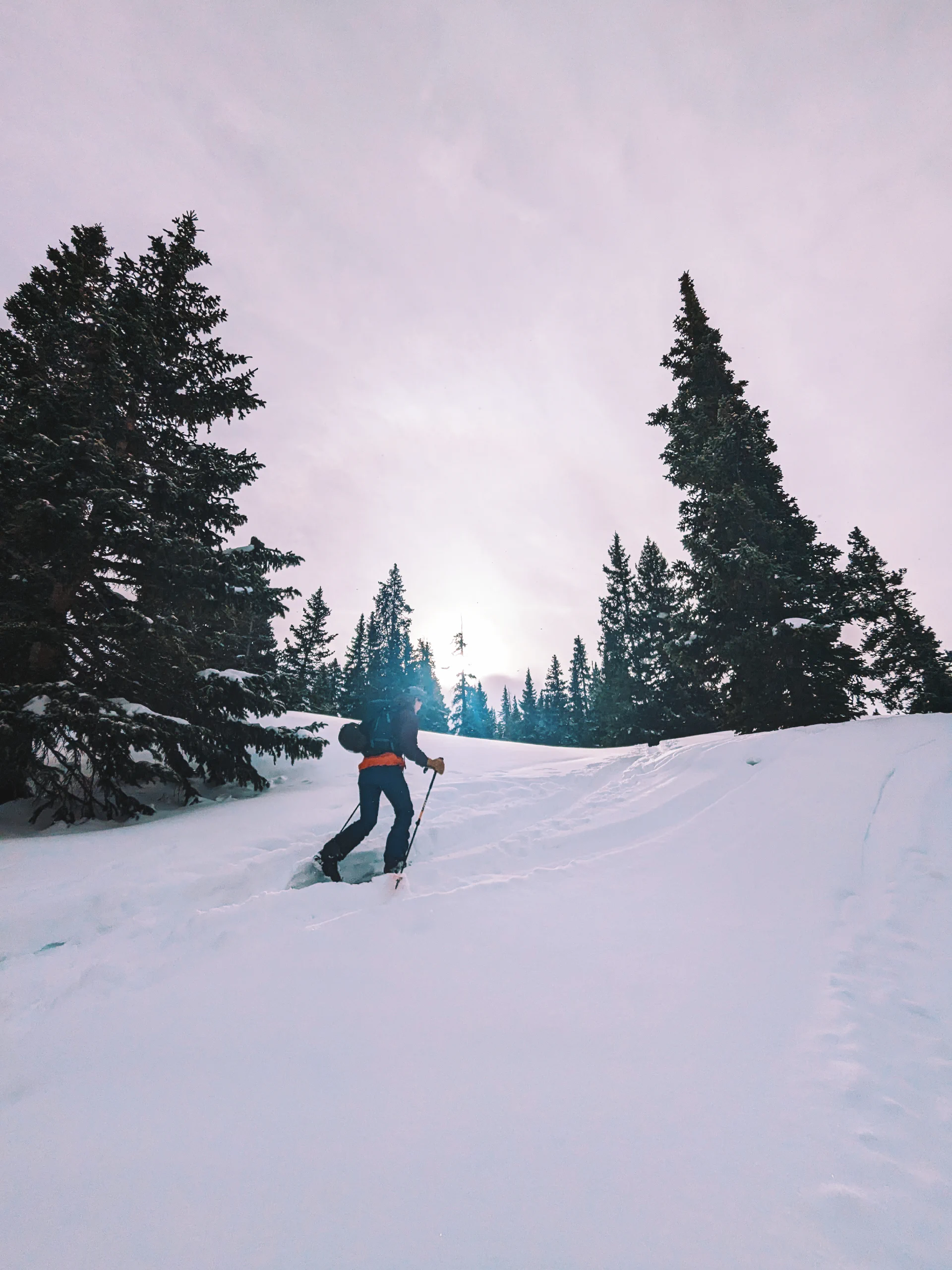 Woman skiing in Colorado mountains demonstrating athletic training and outdoor fitness